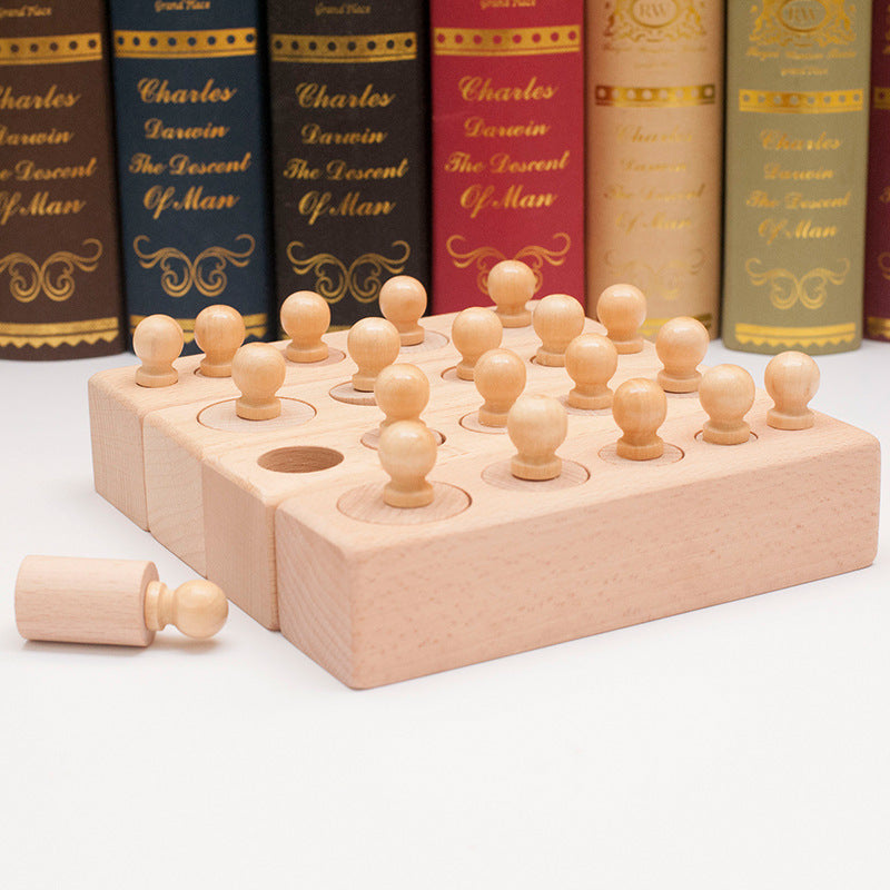 Montessori Beech Cylinder Cognitive Socket Children's Early Education Puzzle Puzzle Plug-In Teaching Aids Montessori Wooden Toys